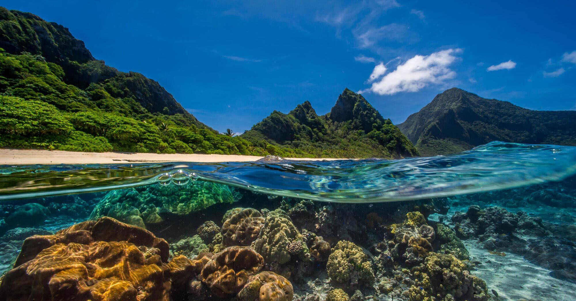 Credit: Shaun Wolfe / Ocean Image Bank